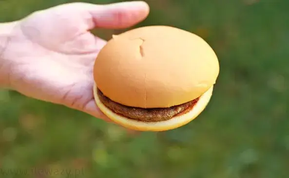 Hamburger McDonald's: 258 kcal! Sprawdź kalorie innych burgerów